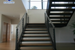 ERS Step ladder
